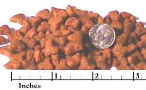 Lite Cat Food.jpg (8613 bytes)