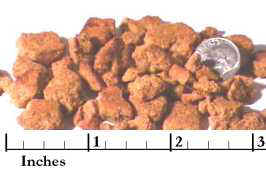 Regular_Kibble_Dog_Food.jpg (7605 bytes)