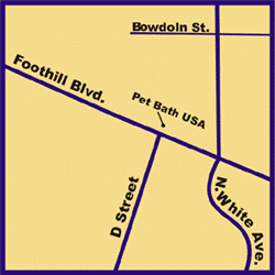 map.gif (11766 bytes)